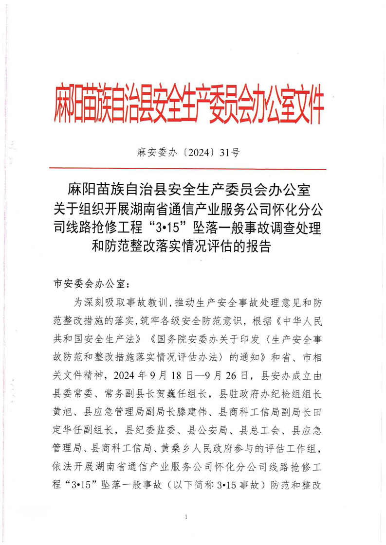 关于组织开展湖南省通信产业服务公司怀化分公司线路抢修工程“3·15”坠落一般事故调查处理和防范整改落实情况评估的报告